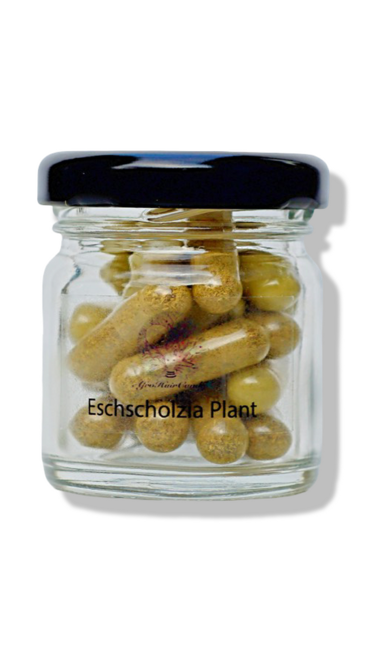 Eschcholzia Capsules